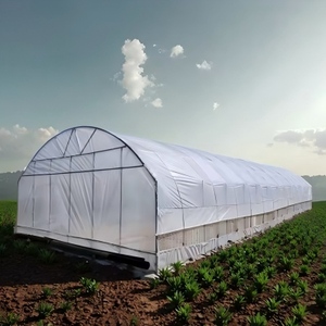 โรงเรือนแบบช่วงเดียวสำหรับการเพาะปลูกกระบองเพชรและไม้อวบน้ำที่มีแสงสูงและการระบายน้ำได้ดี - Product Image 3