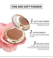 Poudre compacte pour le visage vegan OEM, marque privée, bronzer sans logo, palette de contour, fini mat, imperméable, longue tenue