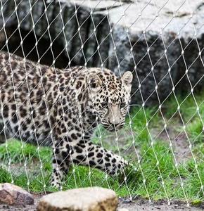 <span class=keywords><strong>Malla</strong></span> <span class=keywords><strong>de</strong></span> Acero Inoxidable Flexible para Cercas <span class=keywords><strong>de</strong></span> Seguridad en Zoológicos, Red Protectora para Aviarios - Product Image 5