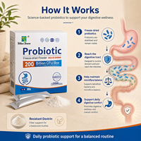 Poudre de boisson probiotique en sachets individuels, supplément prébiotique pour le bien-être digestif, marque privée, fabrication OEM ODM, vente en gros