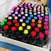 Présentoir Neissry pour vernis à ongles gel effet œil de chat changeant de couleur, kit de salon, marque privée, emballage personnalisé avec logo pour les professionnels de la manucure