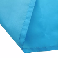Drapeau en polyester aux couleurs pastel pour les lesbiennes, les homosexuels, les bisexuels, la pansexualité et les transgenres
