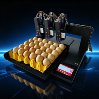 Impresora de Marcado de Huevos, Equipo de Impresión Directa en Bandejas de Huevos, Compatible con Contenido Personalizado para Aplicaciones de Negocios Locales de Venta al por Mayor de Huevos