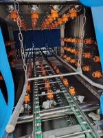 Nettoyage continu Chiffre d'affaires Panier Lavage Poulet Écloserie Plateau Machine À Laver