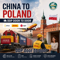 Transitaires professionnels Chine-Pologne, Agent maritime DDP Chine-Pologne, Logistique Chine-Pologne, Royaume-Uni, Allemagne, France, Transport maritime et ferroviaire