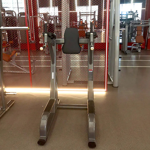 Nieuwe Aankomst Commerciële Gymrek Multifunctionele Stalen Bodybuilding Apparatuur Verticale Knie Voor Krachttraining - Product Image 3