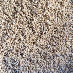 Noix de Cajou SANTIGO en Gros à Prix Abordable, Coques de Noix de Cajou à Délai de Livraison Court - Product Image 6