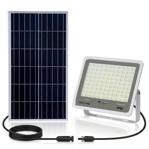 Reflector Solar LED de 100W IP67, Aluminio Fundido a Presión, Iluminación Exterior para Jardín, Montaje en Pared, Cubierta de Vidrio, Ángulo de Haz de 170°, CE - Product Image 1