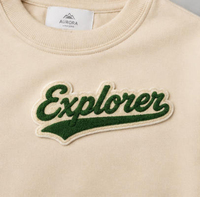 Écussons brodés en chenille pour vêtements, en fil acrylique et feutre, thermocollants et à coudre, pour la décoration de vestes et sacs