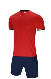 高品質クラブチーム＆ナショナルチームジャージ、大人子供用サッカーウェアの工場卸売 - Product Image 6