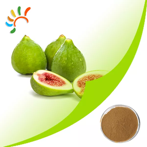 Chất lượng cao cấp thực phẩm vả chiết xuất bột <span class=keywords><strong>80</strong></span> lưới thiên nhiên vả bột chiết xuất từ quả nhà máy bán buôn chân không đóng gói trống đóng gói - Product Image 2