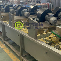 Continue productielijn voor het frituren van fruitchips, bananenplakjes frituurmachine, productielijn voor het frituren van bananenchips