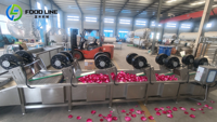 Machine multifonctionnelle tout-en-un pour la déshydratation et le séchage à l'air des fruits et légumes, équipement de déshydratation industriel