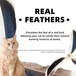 AFP per interni telescopici per gatti bacchetta di 360 gradi di rotazione naturale piuma interattiva per animali domestici giocattolo espandibile bastone di piume di gatto - Product Image 2