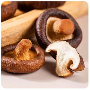 DETAN Export Health Snacks Crispy Delicious Shiitake Mushroom Slices Shiitake Crisp For Sale