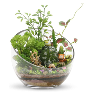 Vaso in vetro a taglio obliquo trasparente, in vetro spesso, per <span class=keywords><strong>piante</strong></span>, terrario, ciotola per caramelle, barattolo per frutta, contenitore floreale per casa, matrimoni, all'ingrosso - Product Image 3