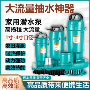 Submersible Pump 220V Single Phase Centrifugal Water Pump 1 In Discharge Port Agricultural Irrigation High Flow - Product Image 5