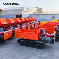 LTMG Marque chinoise 3 tonnes 3000KG Moteur diesel Machines de terrassement Type assis Mini Dumper sur chenilles avec vente