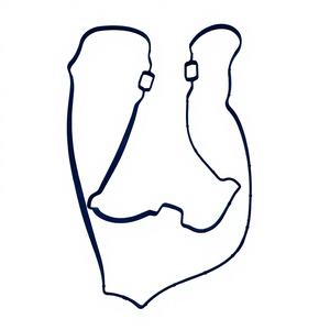 Junta de Culata para Cárter de Aceite de Motor Proton - Product Image 2