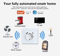 UBARO 82mm Tuya WiFi Akıllı Priz EU Schuko 16A Cam Panel USB Type-C Güç Monitörü Alexa Google Home Yandex Alice IP21