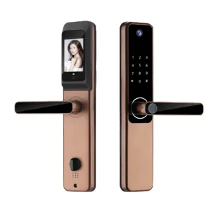 QLEUNG S802Pro Tuya App Doorlock With Peephole Camera Fingerprint Card Card Key Smart Door Lock With Screen