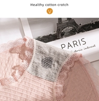 Bragas de Tiro Medio de Alta Calidad para Mujer de Algodón con Encaje Transpirable sin Costuras Tallas Grandes Ropa Interior Sexy Femenina