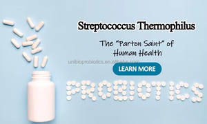 Pasokan OEM Lactobacillus jenii CCFM1213 kapsul probiotik potensi tinggi digunakan untuk wanita vagitis - Product Image 2