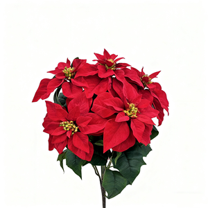 Décoration <span class=keywords><strong>de</strong></span> Noël, mariage, fête des Mères : Bouquet <span class=keywords><strong>de</strong></span> poinsettias rouges faits main, 5 têtes <span class=keywords><strong>de</strong></span> fleurs en velours, 23 pouces – Vente directe usine - Product Image 2