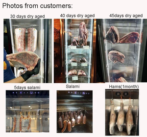 SICAO 500 ar séchage steak refroidisseur d'armoire d'hôtel commercial maison de bœuf au barbecue ager mini viande réfrigérateur vieillissant sec en stock - Product Image 4