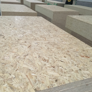 Panneaux <span class=keywords><strong>OSB</strong></span> en gros 9-18mm 1220x2440mm - Surface fine FOSB pour utilisation murale et au sol - Product Image 4