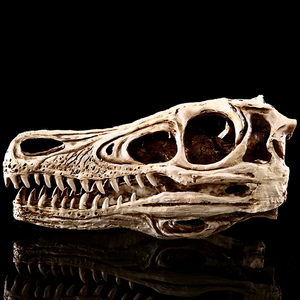 Nhựa Tượng Jurassic Công Viên Khủng Long <span class=keywords><strong>Skull</strong></span> Skd16 Halloween Nghệ Thuật Điêu Khắc Lễ Hội Món Quà Động Vật Bức Tượng Bộ Sưu Tập - Product Image 6