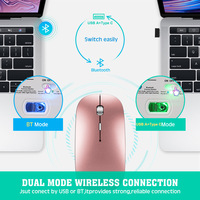 Souris optique mini double mode sans fil BT 5.2 + 2.4G avec récepteur USB-A Type-C, compatible avec tous les systèmes pour ordinateur portable, PC, iPad