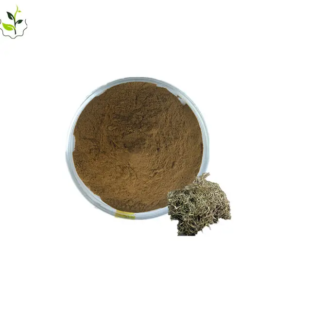 Top ที่ผ่านการรับรอง Salix Alba สารสกัดจากเปลือกวิลโลว์สีขาวสารสกัดจาก Salicin ราคาที่ดีที่สุด