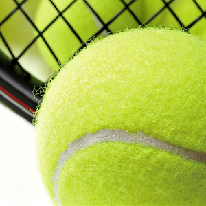 24 <b>Ball</b> Case Academy <b>Training</b> Bulk Savings Coach Favorite High Volume Tennis <b>Balls</b> 24 Pack For Academy Championship Grade - Product Image 4