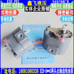 XCB-B40S XCB-B50S XCB-B63 Screw Pump with Dual-Output Shaft Gear <b>Oil</b> Pump with Double-End Shaft - Product Image 1