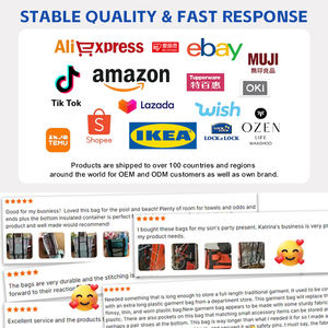 Fabriek Metalen Frame Onder Bed Opslag Doorzichtige Deksels Met Wielen Opslagcontainers Voor Slaapkamer Rollende Kleding Schoen Opbergbakken - Product Image 6