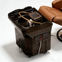 Bac à shampoing portable chauffant avec bassin en céramique, lavabo mobile thermostatique moderne pour salon de beauté et usage domestique