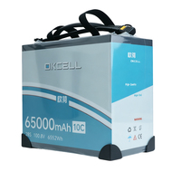 Batterie rechargeable semi-solide OKCELL 65000mAh 28S 100.8V AS150U avec prise, certifiée CE, garantie 1 an, vente en gros