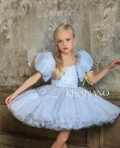 Puff Sleeves Crystal Beaded Lace Tulle Wedding Flower Girl Dress Princess Birthday Party Dress Couture Kids Dress