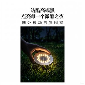 Lumière solaire encastrée au sol 16 LED en acier inoxydable pour jardin extérieur, type III, avec capteur de lumière - Product Image 3
