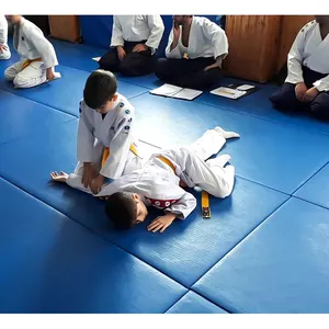LinyiQueen Judo Mats 2m Crash Sponge Eva Judo Tatami Mat For Training 40 Competition Judo Mats