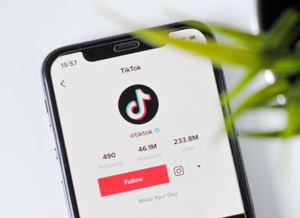 Servizio di Promozione Globale TikTok, Supporto Operativo Stabile per il Promovimento del Negozio e la Pubblicità del Marchio Attraverso Video Brevi - Product Image 3