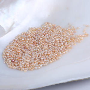 Perlas Blancas Naturales de Agua Dulce al por Mayor, 3 mm de Diámetro o Menos, Molidas en Polvo No Nucleado y No Poroso - Product Image 1