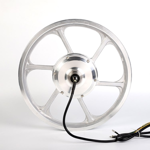 <span class=keywords><strong>DGWZ</strong></span> 16 Zoll 36V 48V 250W 350W 500W Bürstenloser Getriebe-Nabenmotor für Elektrofahrräder und -roller - Product Image 1