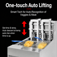 Friteuse Électrique Professionnelle Automatique à Levage, en Acier Inoxydable 304, pour Brochettes de Poulet Commerciales, Idéale pour la Cuisine