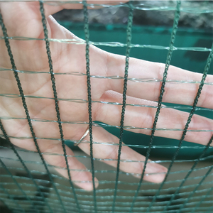 Trắng chim bảo vệ <span class=keywords><strong>Net</strong></span> knotless polyethylene Vườn Nho chim lưới chống chim lưới cho rau cây ăn quả AO Chim Sẻ - Product Image 3