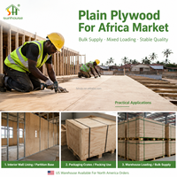 Contreplaqué d'eucalyptus uni pour le marché africain 1220x2440mm Fournisseur de contreplaqué commercial Stock local pour l'Amérique du Nord