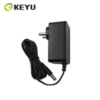 Adaptateur d'alimentation Inde 2 broches 12V 2A 2000MA 24W avec BIS CB ROHS