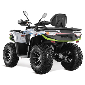 <span class=keywords><strong>Quad</strong></span> Tao Motor à transmission automatique par arbre, homologué EEC pour la route, modèle T3B, à essence, pour usage agricole, buggy des dunes, ATV 4x4 300cc pour adultes, avec certifications CE et EPA - Product Image 4