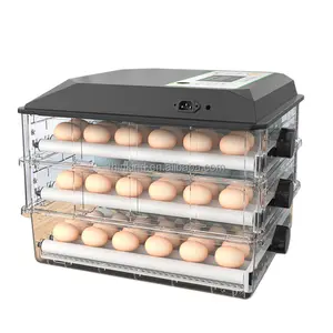 湿度計卵インキュベーター Suppliers-卵インキュベーター温度計湿度計オウム受精卵孵化卵ミニAC/DC卵インキュベーター